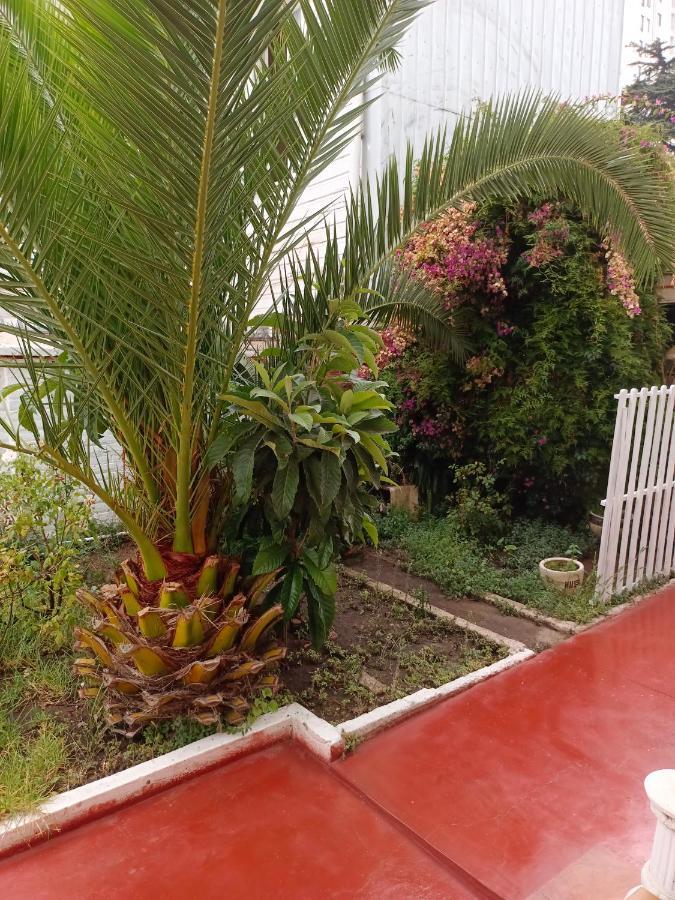וינה דל מר Hotel Paseo Valle מראה חיצוני תמונה